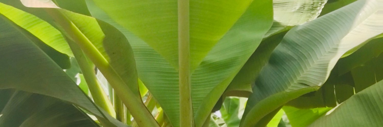 munyaodaniel's profile banner image