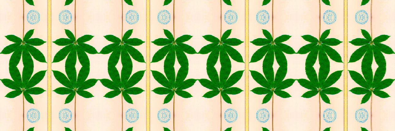 amahcc's profile banner image