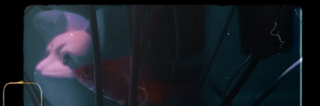 labrea_j's profile banner image