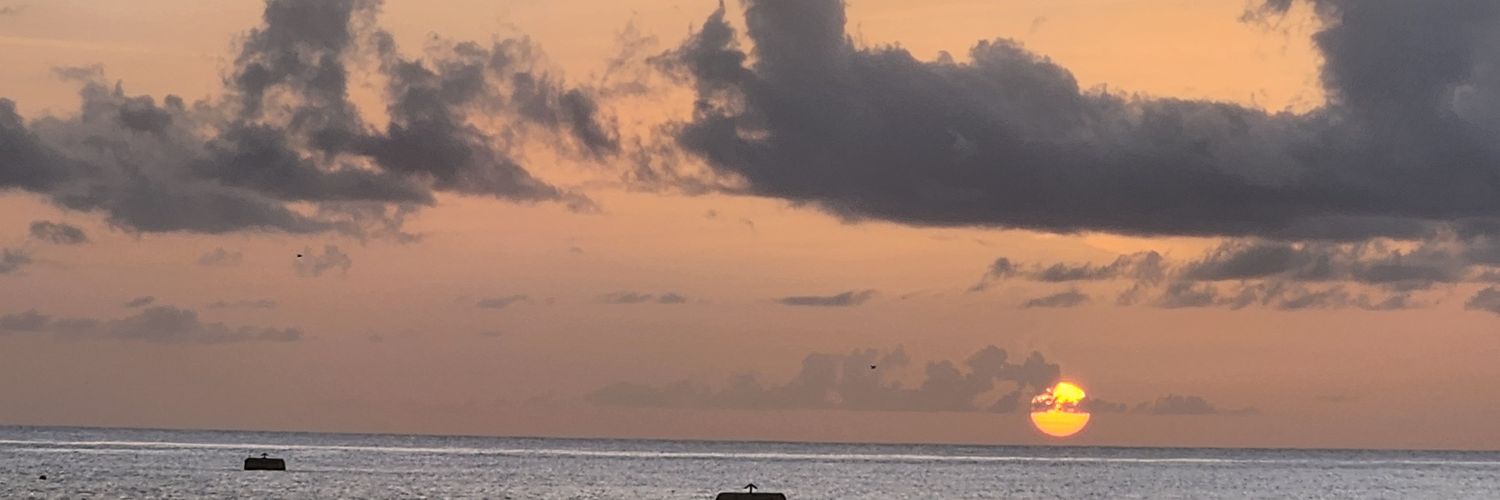 Shaunice🇧🇧🇨🇦 banner