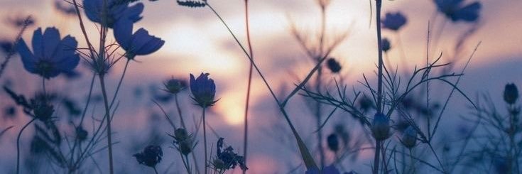 omfaris264's profile banner image