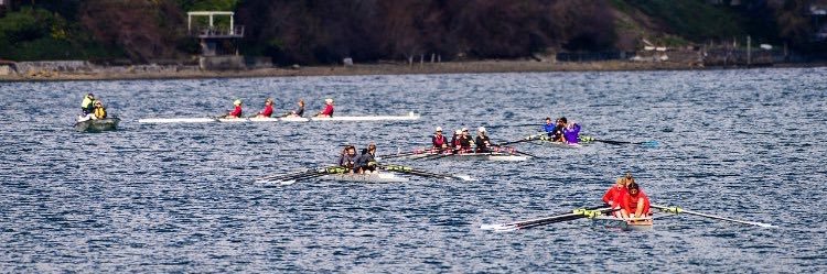 katebricker3's profile banner image