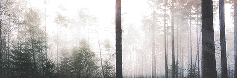 MyMendingHeart's profile banner image