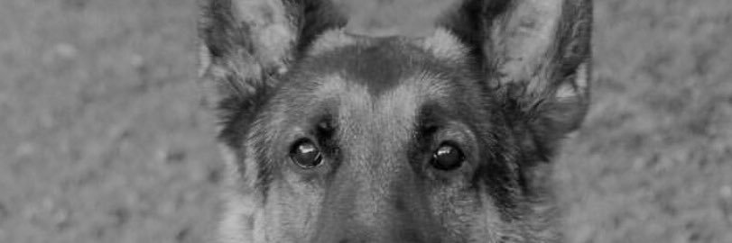 AlexRG04's profile banner image