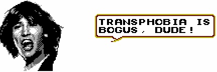 StiltOwl's profile banner image