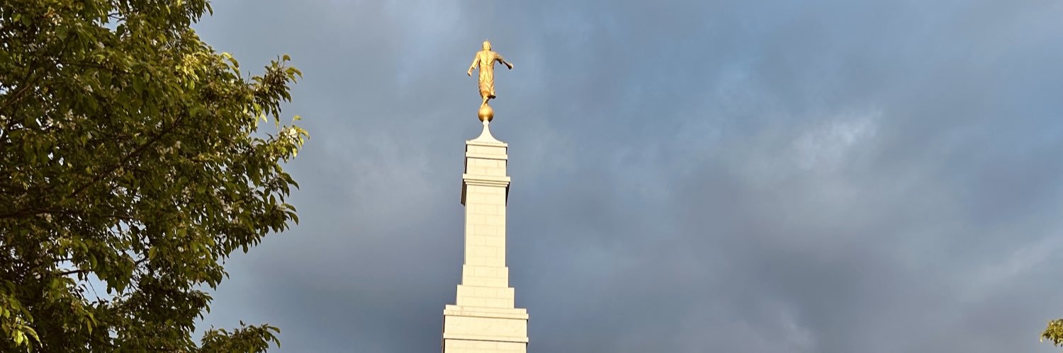 Sarah May banner
