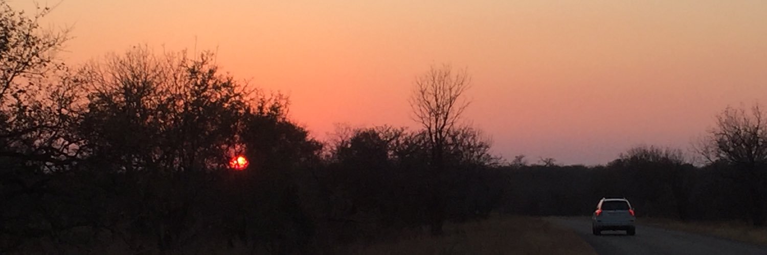 Pascal Dossche banner