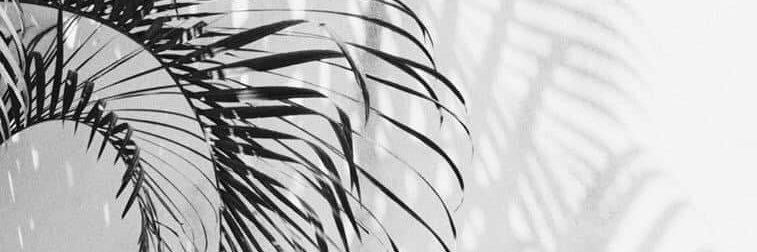 karecg's profile banner image