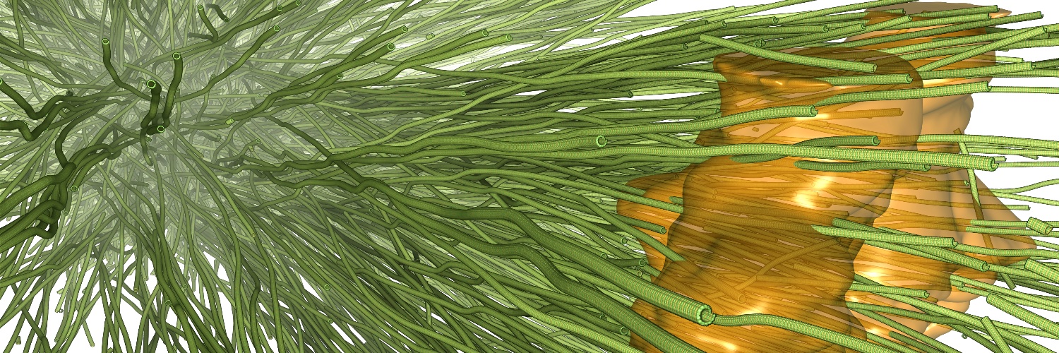 DrSteffi's profile banner image