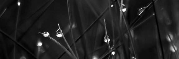 iM0ony's profile banner image