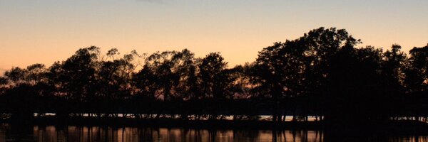 dslsynth Profile Banner