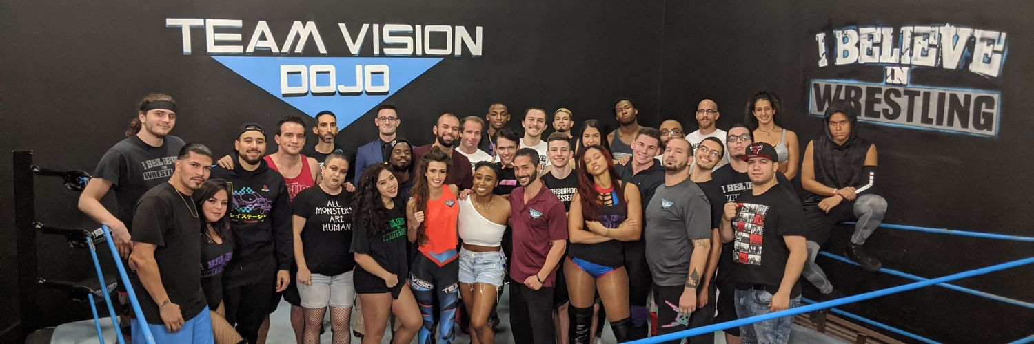 Team Vision Dojo banner
