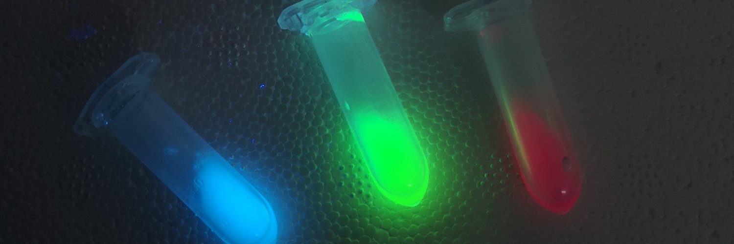 Katariina Jaenes banner