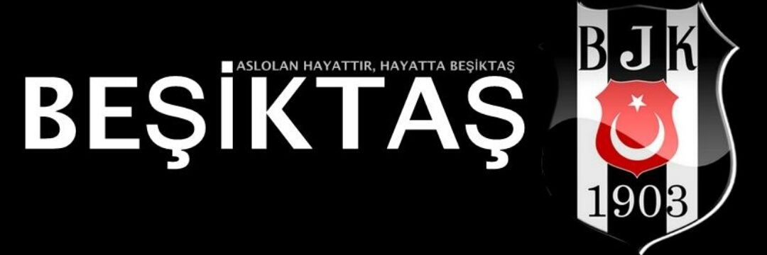 brsyrnbjk's profile banner image