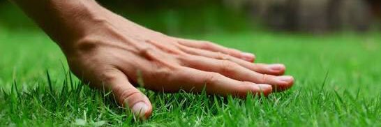 Kingofboys.eth banner