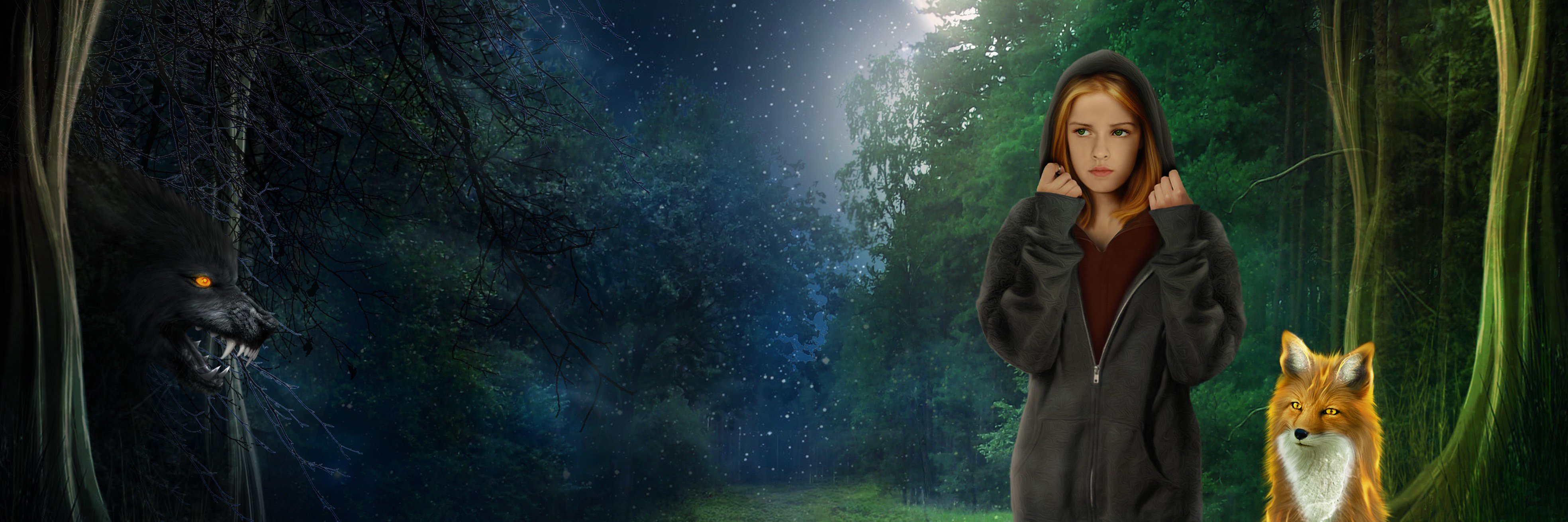 Evarance's profile banner image