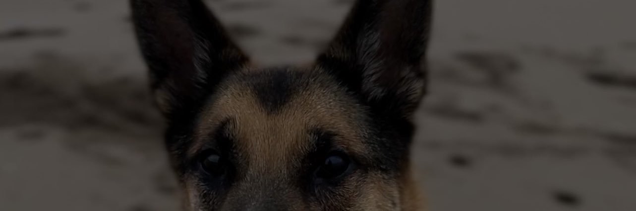 Taraalaughlinn_'s profile banner image