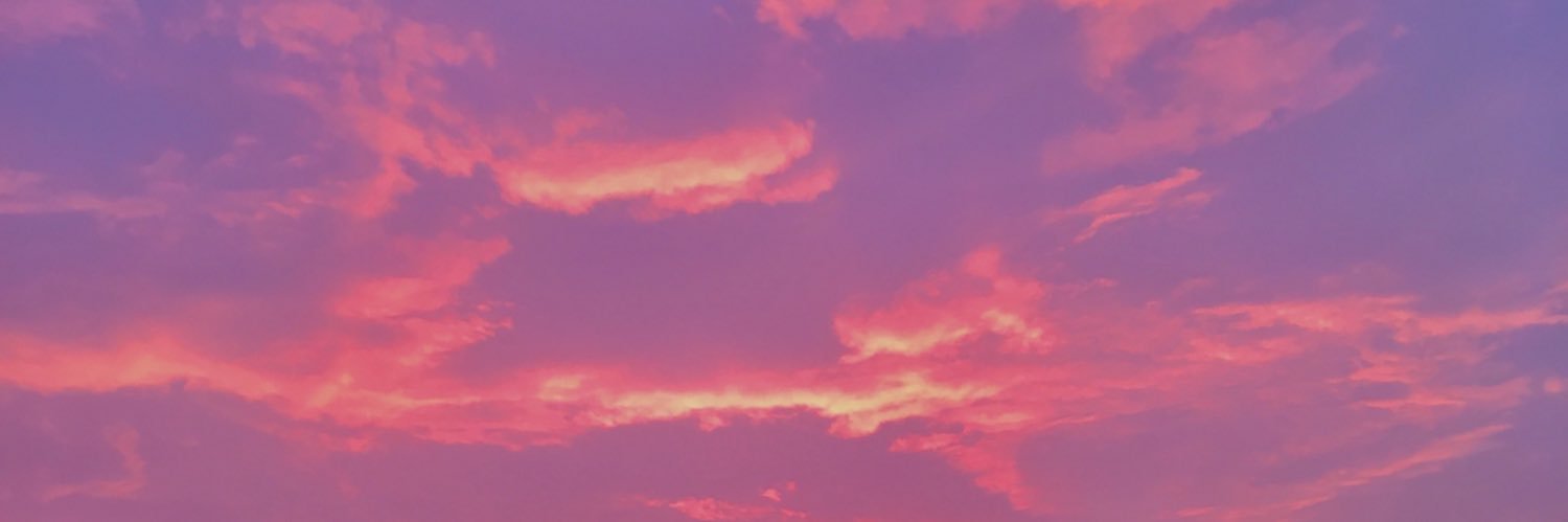 ericapani_'s profile banner image