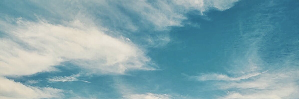 michele_tabata's profile banner image