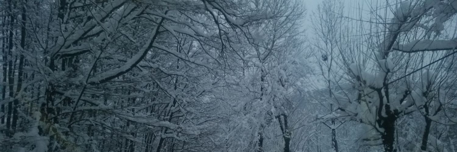 caginemlak's profile banner image