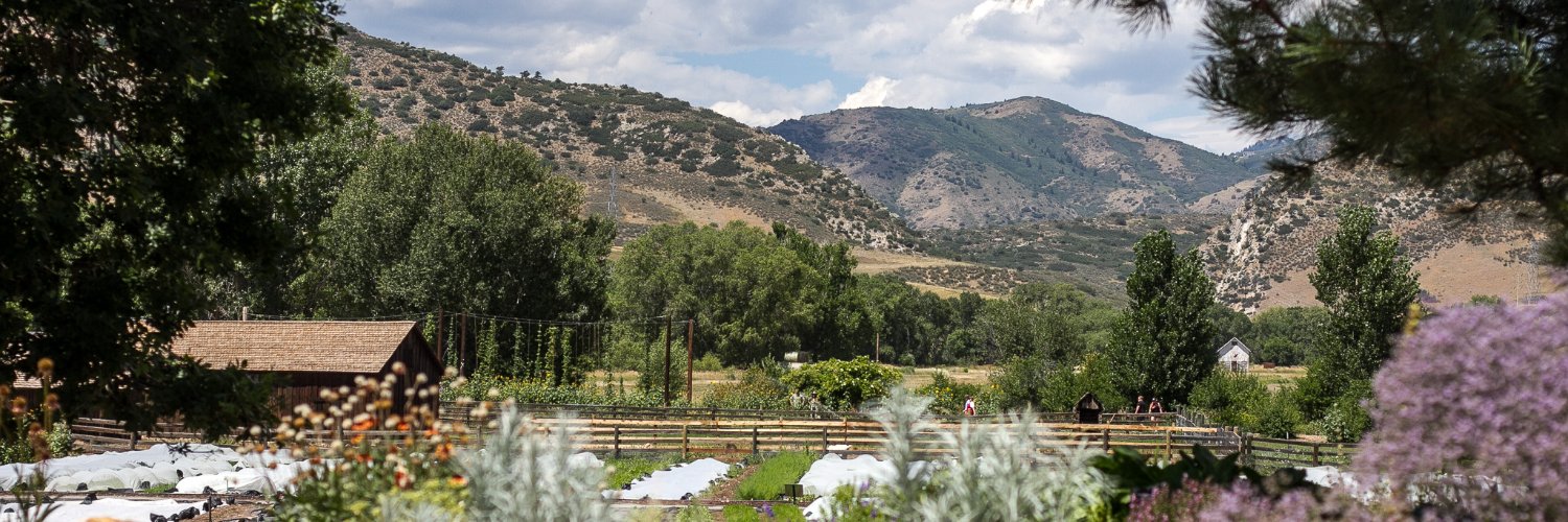 Heather Willard banner