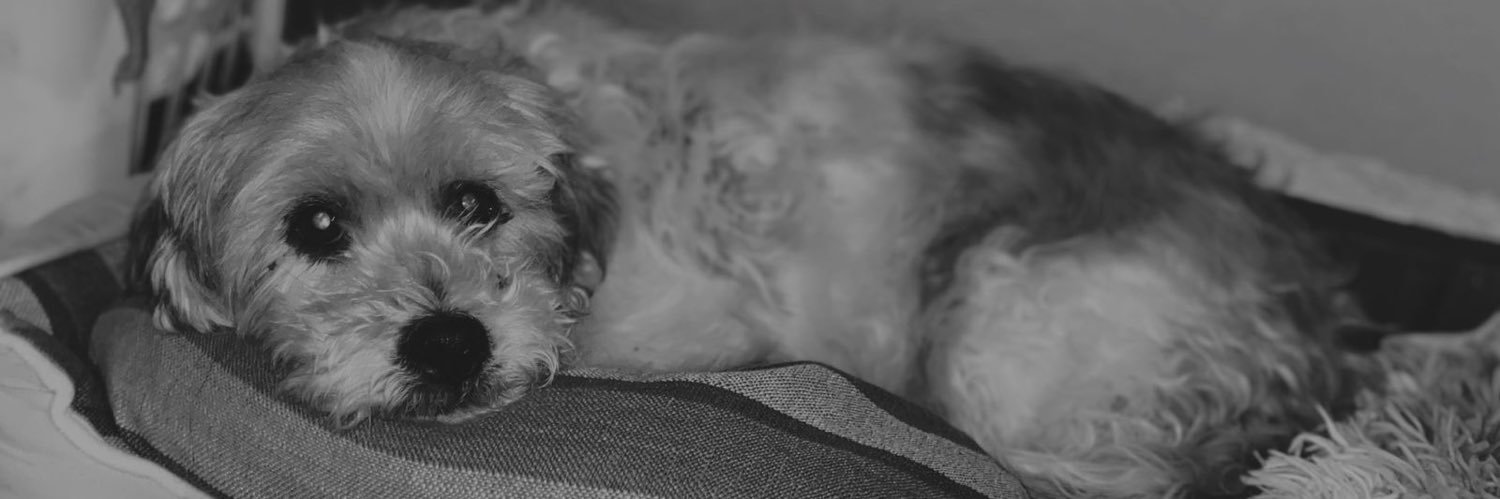 Clauv90's profile banner image