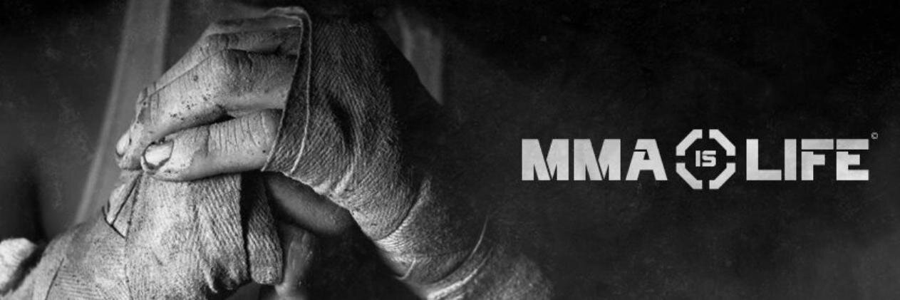 MatthieuLutaL's profile banner image