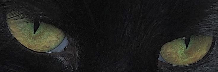 aramiro___'s profile banner image