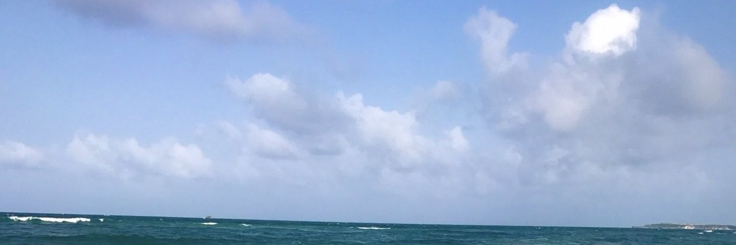 DeaniTames's profile banner image