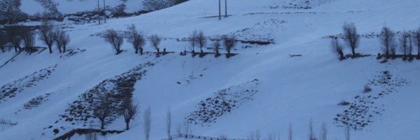 farshidsafir Profile Banner