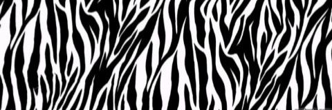 NicoleSuarez99's profile banner image