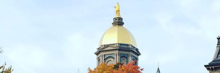 Derek Georgino, CPA banner