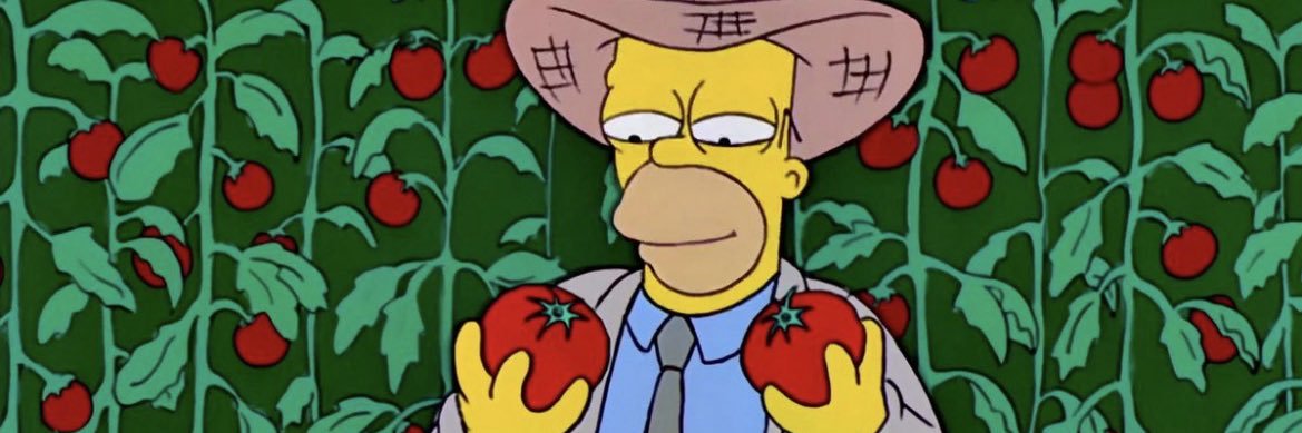 Sonic Squirrel banner