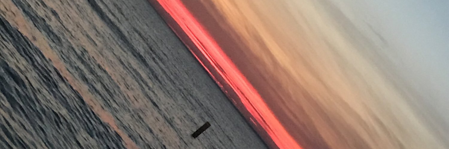 Pinnecksz's profile banner image