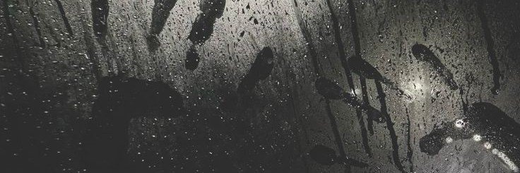 kingcygnus's profile banner image