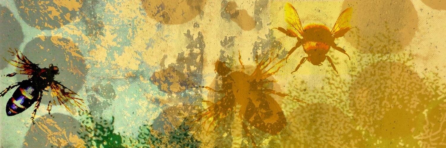 visualalchemies's profile banner image