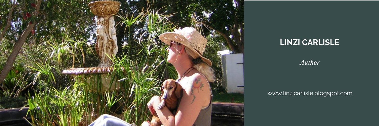 linzicauthor's profile banner image