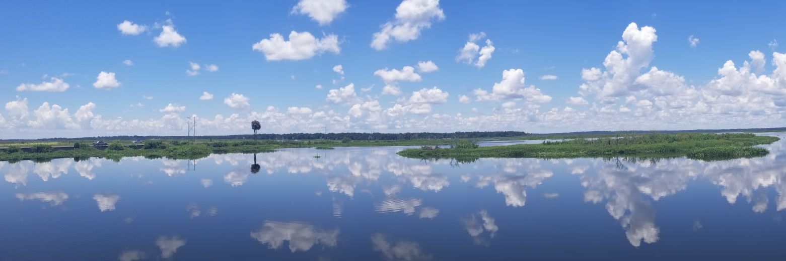 Margaret Ansell banner