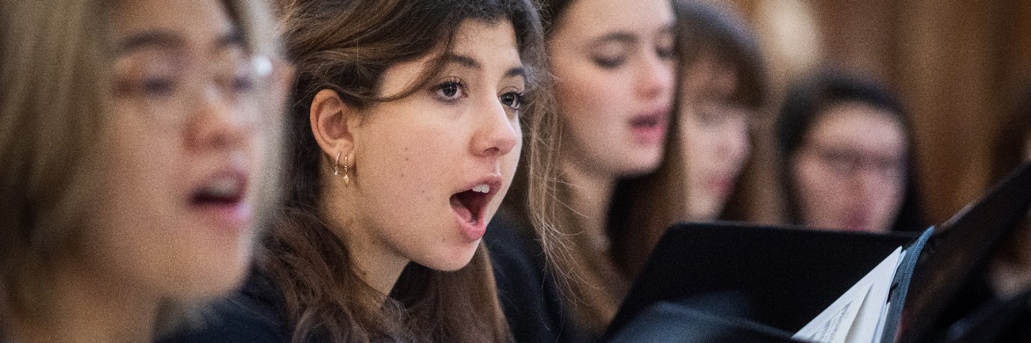 sehchoir's profile banner image