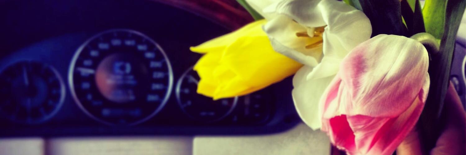 dee_sharawi's profile banner image