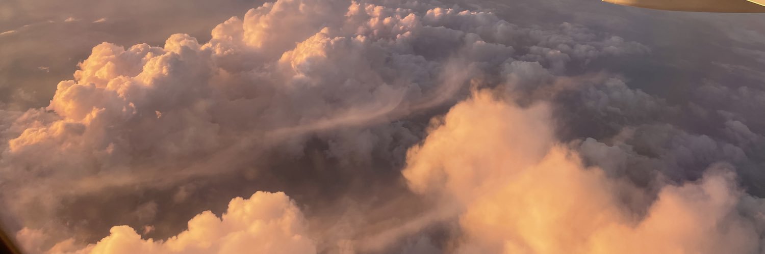 FoxCandy95's profile banner image