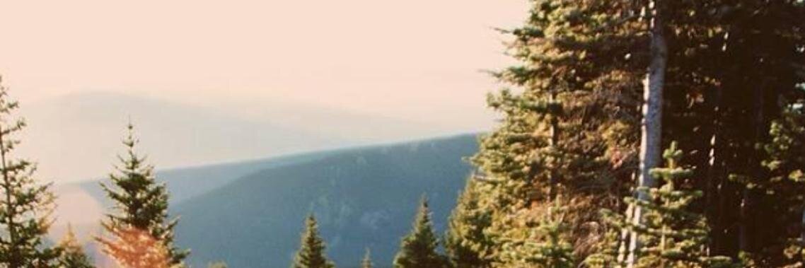 PresleyBaxter_'s profile banner image