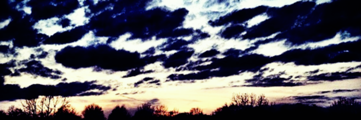 drewidiots's profile banner image