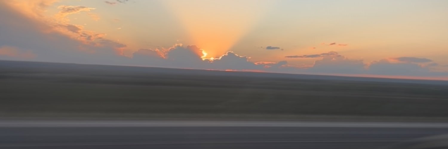xoxoalysa's profile banner image