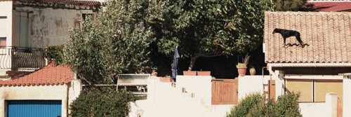 Chiara Garbellotto banner