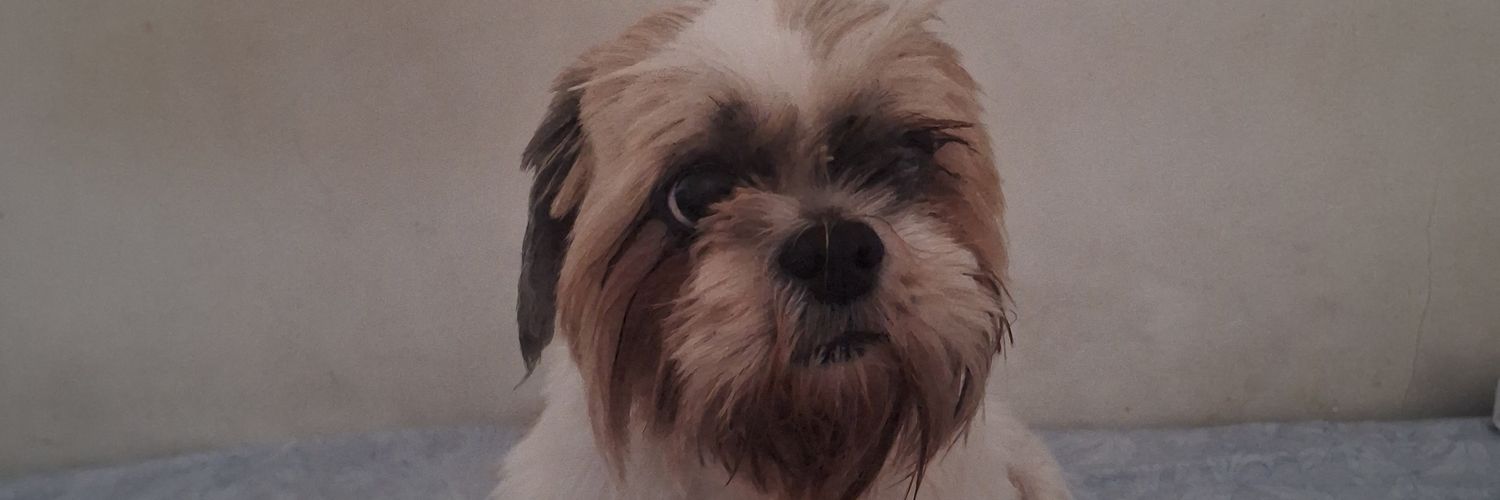 caioo_1972's profile banner image