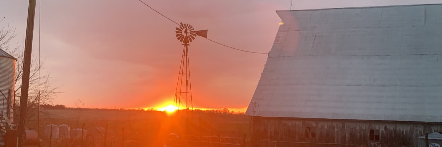 Half Slab Longhorns banner