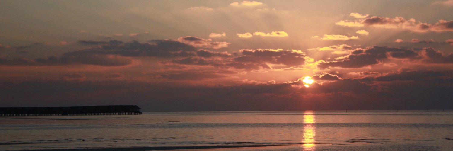 Geoff Langston banner