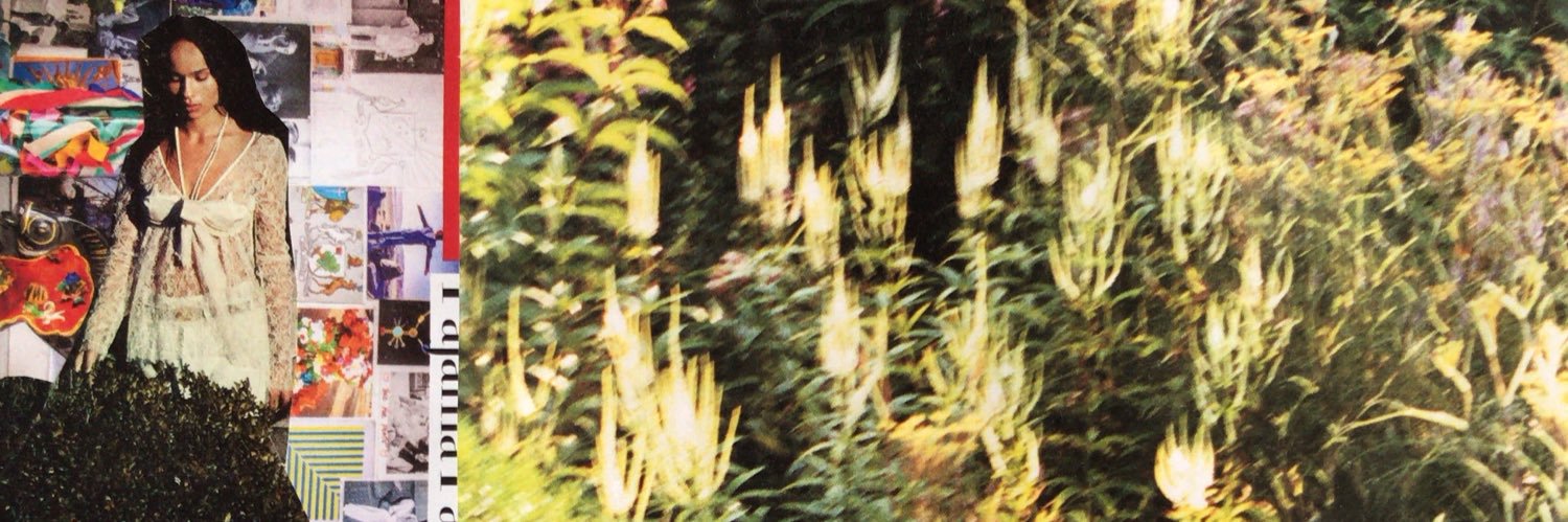 megkrums's profile banner image
