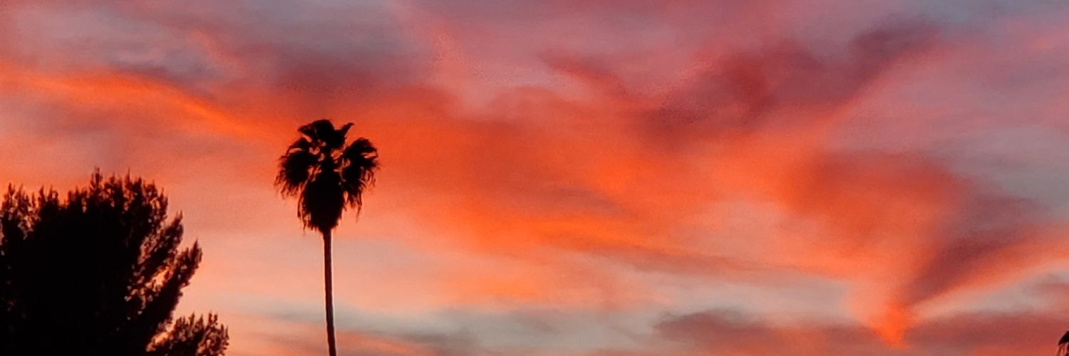 numbchuckg's profile banner image